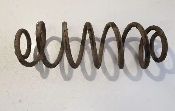 Rear coil spring