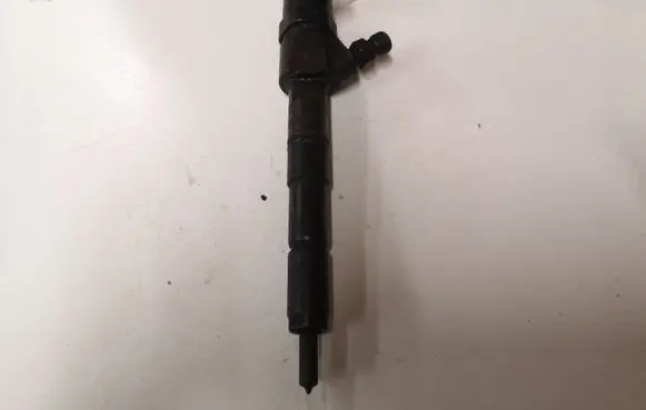 Opel Zafira B Fuel injector 0445110243