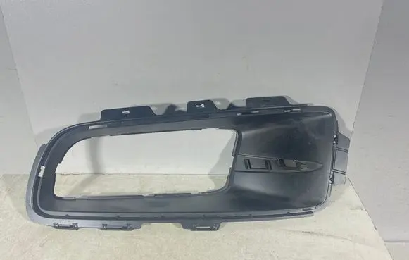 BMW X5 E70 Front bumper lower grill 25101924