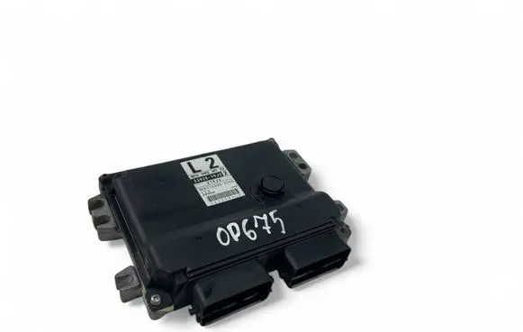 Suzuki Grand Vitara II Engine control unit/module ECU 3392079J2