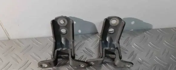 Nissan Leaf II (ZE1) Front door hinge set 