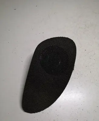 Panel speaker