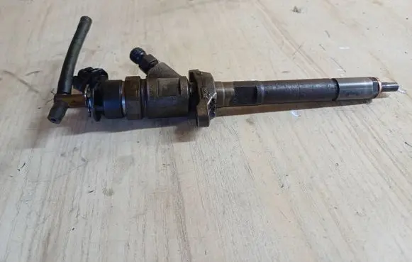 Citroen C4 I Fuel injector 0445110297