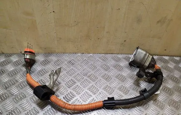 Lexus CT 200H Other wiring loom G114847041