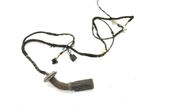 Front door wiring loom
