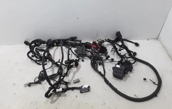 Renault Espace VI Other wiring loom 403881658R