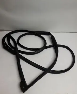 Renault Kadjar Rubber seal front door (on door) 