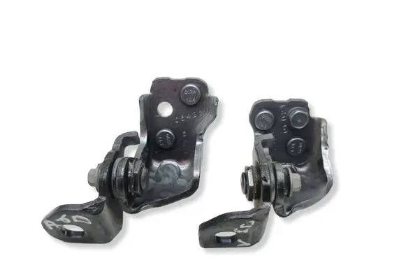 Ford F150 Rear door hinge set 