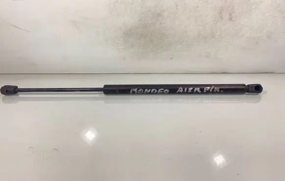 Tailgate/trunk strut/damper