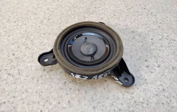 Front door speaker