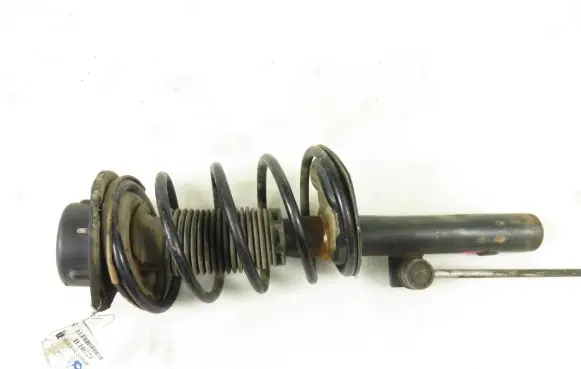 Peugeot 206 Front shock absorber with coil spring
