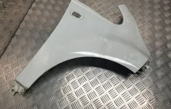 Peugeot iOn Fender