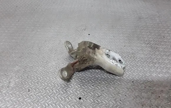 Chevrolet Captiva Front door lower hinge 