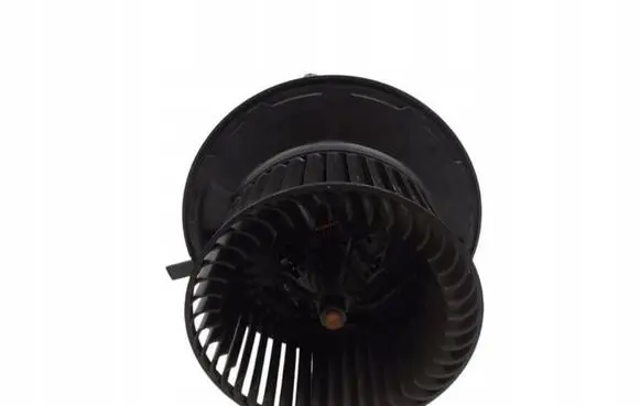 Mercedes-Benz B W245 Heater fan/blower A1698200642
