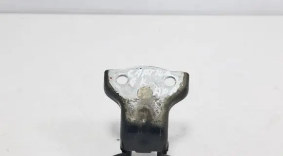 Chevrolet Captiva Rear door lower hinge O7E10