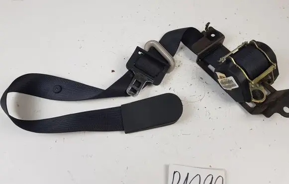 Chrysler Pacifica Roof seat belt P0TS751DVAD