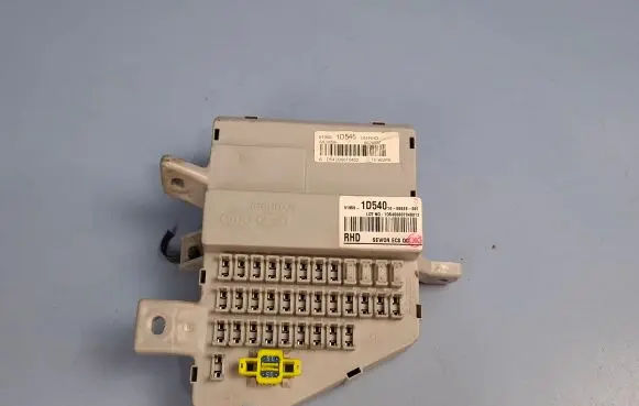 KIA Carens II Fuse box set 919501D540 1006629001