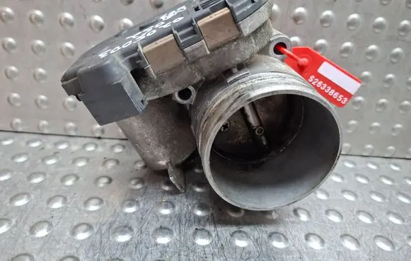 Throttle body valve