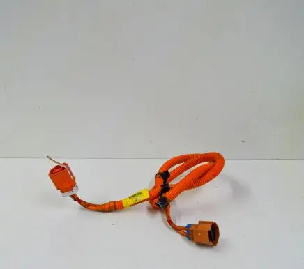 Tesla Model S Other wiring loom 600738300C