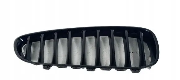 BMW Z4 E89 Front bumper upper radiator grill 40502055