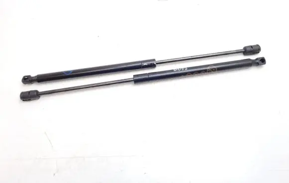 Ford Mustang Mach-E Front bonnet/hood damper/strut LJ8BR16C827AB