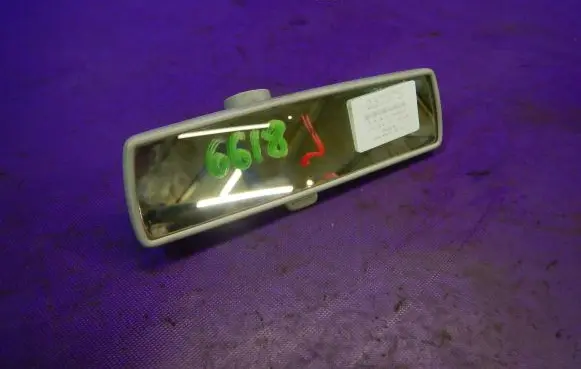Volkswagen Polo Rear view mirror (interior)