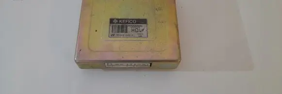 Hyundai Matrix Engine control unit/module 9544022940