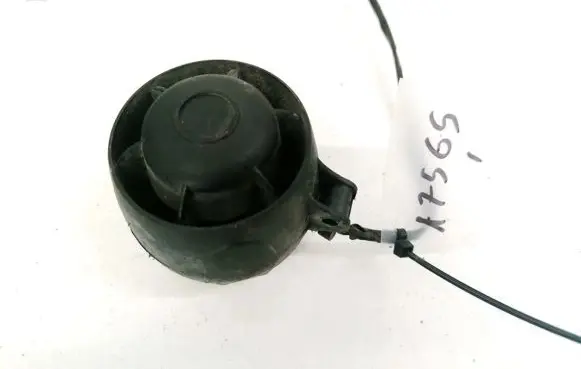 Alarm system siren