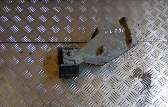 Mercedes-Benz ML W163 Engine mount bracket 1112231304