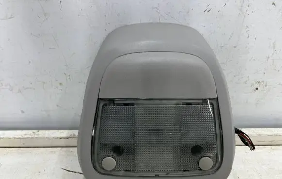 Opel Meriva A Headlining lighting console trim 273893313 13169298