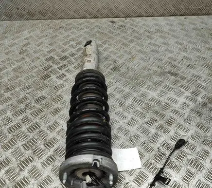 Rear shock absorber/damper