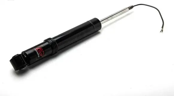 Porsche Cayenne (92A) Rear shock absorber/damper 95835802030 95835802019 95835801910