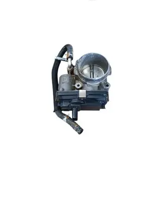 Subaru Outback (BT) Throttle valve