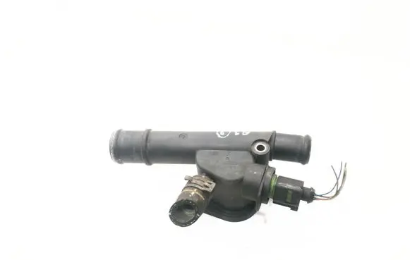 Thermostat/thermostat housing