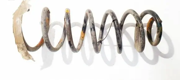 Citroen C4 I Picasso Rear coil spring