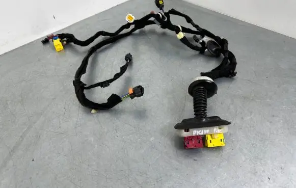 Citroen C4 SpaceTourer Front door wiring loom 9816324780