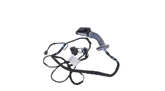 BMW 1 F20 F21 Front door wiring loom 9291964
