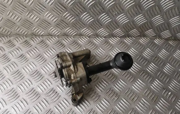 Volkswagen Golf V Oil pump 11346030911 038115121C