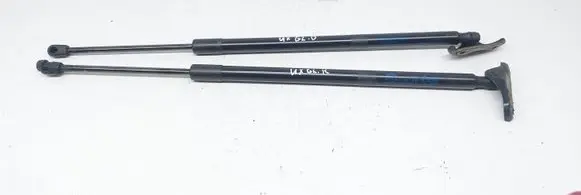 Lexus UX Tailgate/trunk strut/damper 689600WE80