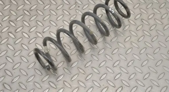Rear coil spring
