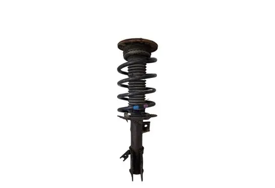 Ford Mondeo MK V Front shock absorber with coil spring DG9C18K001