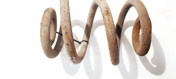 Rear coil spring