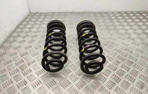 Rear coil spring