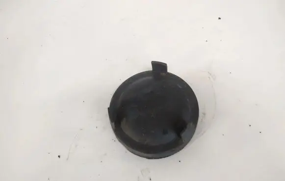 Headlight/headlamp dust cover