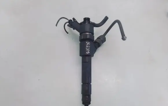 Renault Megane II Fuel injector 8200389369