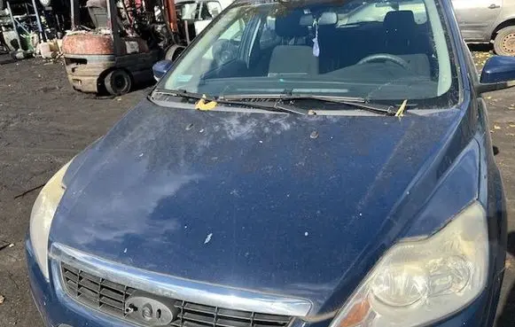 Engine bonnet/hood