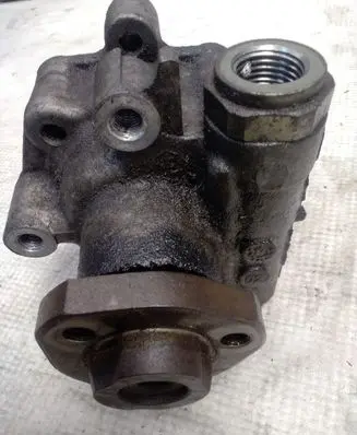 Volkswagen Golf V Power steering pump 110422154AES