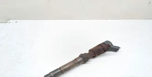 Fiat Ducato Fuel injector 0445110273 504088755