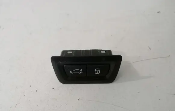 BMW X1 U11 Tailgate/boot open switch button 5A1B301