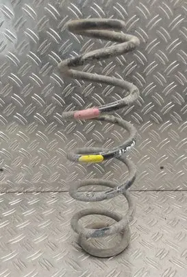 Rear coil spring